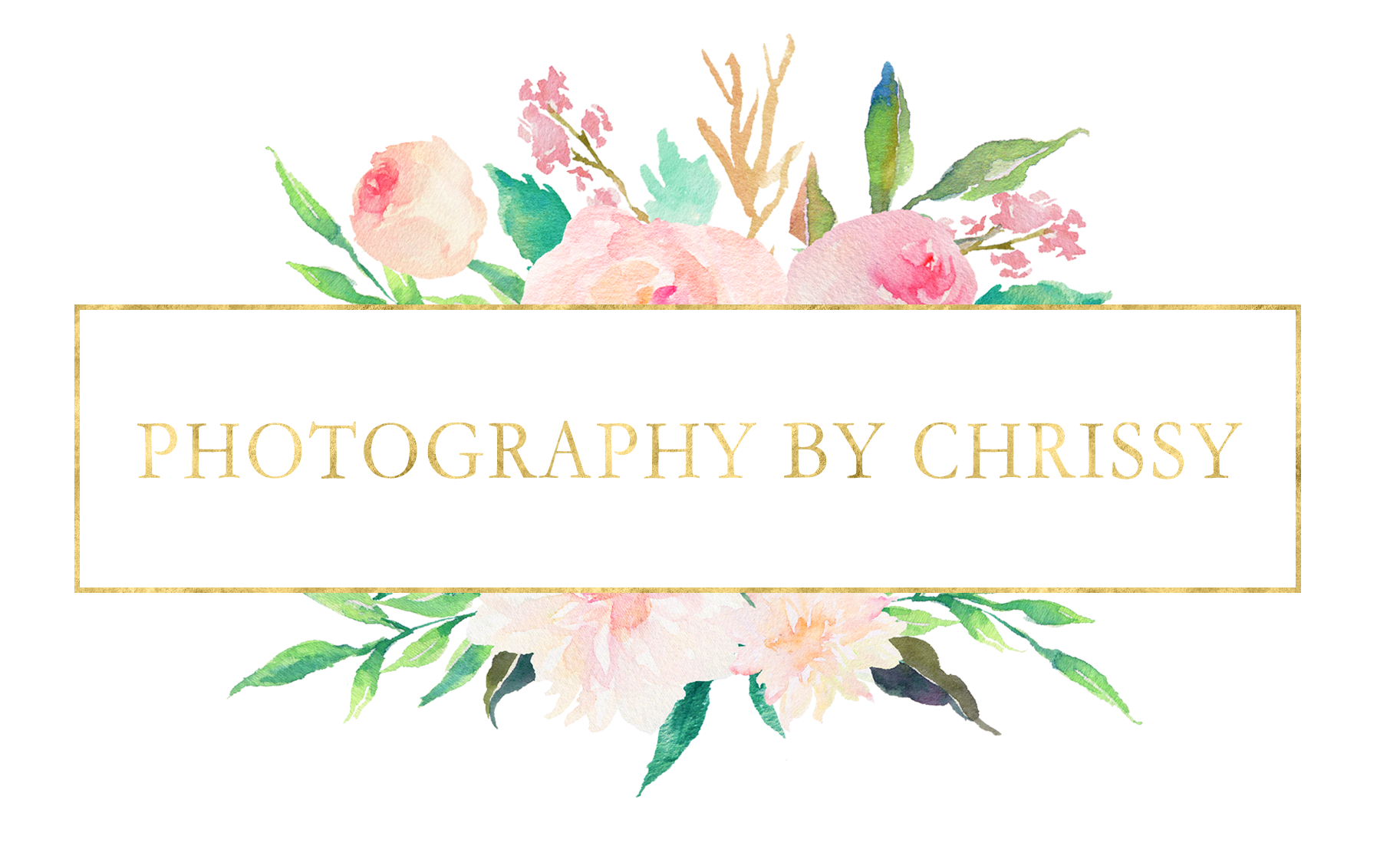 Photography by Chrissy